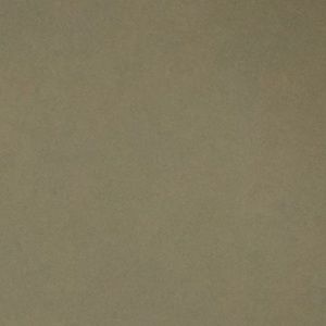 Meet your Posher, Adriana